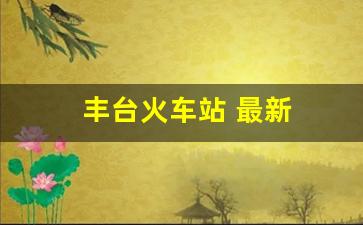 丰台火车站 最新